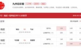 瑞典杯今日爆料结果查询,今日赛果揭晓，精彩瞬间回顾