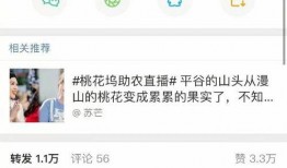 娱乐吃瓜而已百度云网盘,揭秘百度云网盘的神秘世界